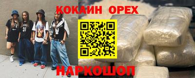 гашик Можга