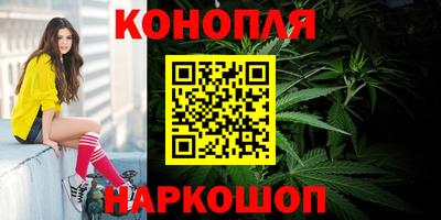 Альфа ПВП Можайск