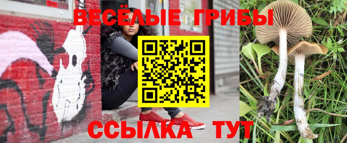 Псилоцибиновые грибы MAGIC MUSHROOMS  Вход с VPN  Нальчик  Псилоцибиновые грибы Psilocybine cubensis 