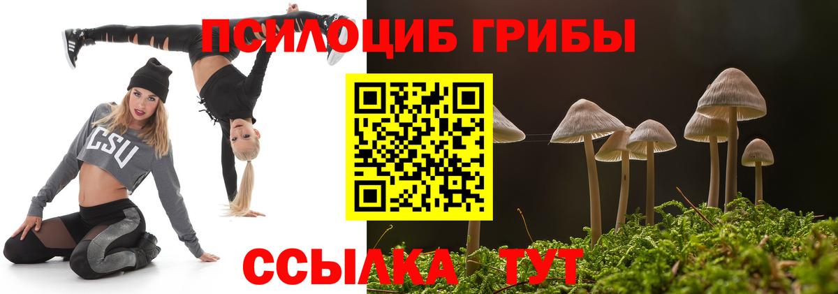 Псилоцибиновые грибы мицелий Нальчик